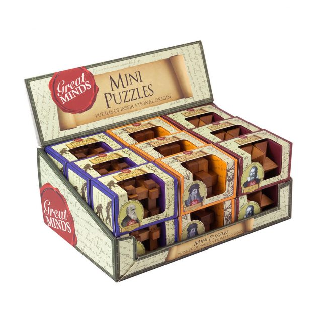 Great Minds Set of 8 Wood wooden metal mind game leaning puzzle brain challenge 