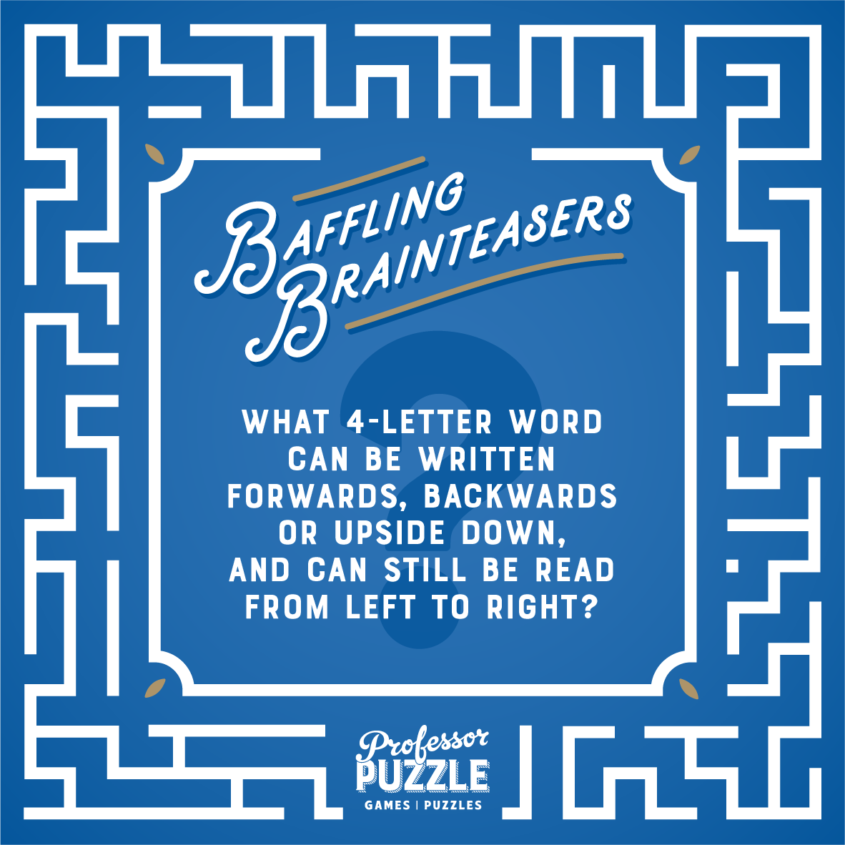 Brainteasers Riddles And Conundrums Professor Puzzle